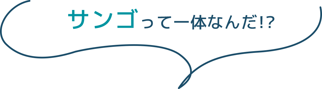 サンゴって一体なんだ!?