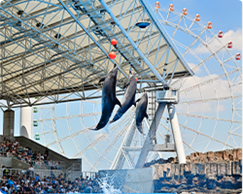 イベント紹介 名古屋港水族館ホームページ 公式