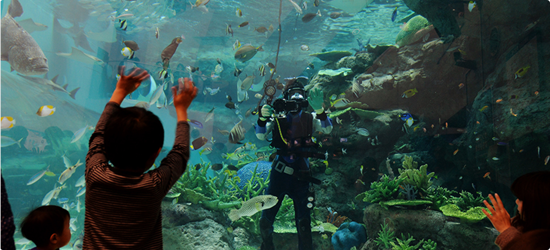 イベント紹介 名古屋港水族館ホームページ 公式