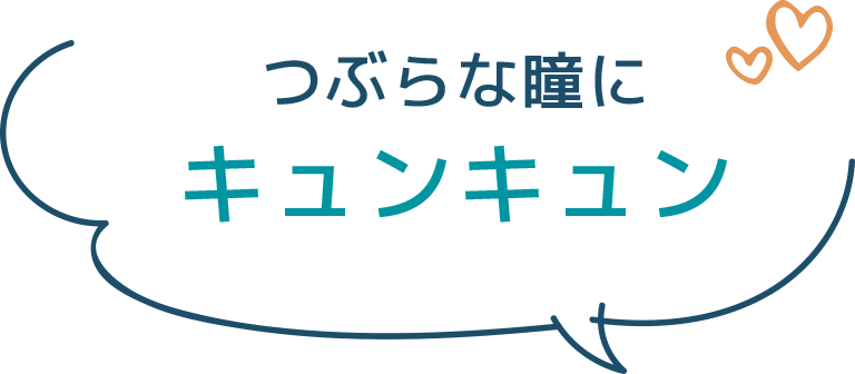 つぶらな瞳にキュンキュン