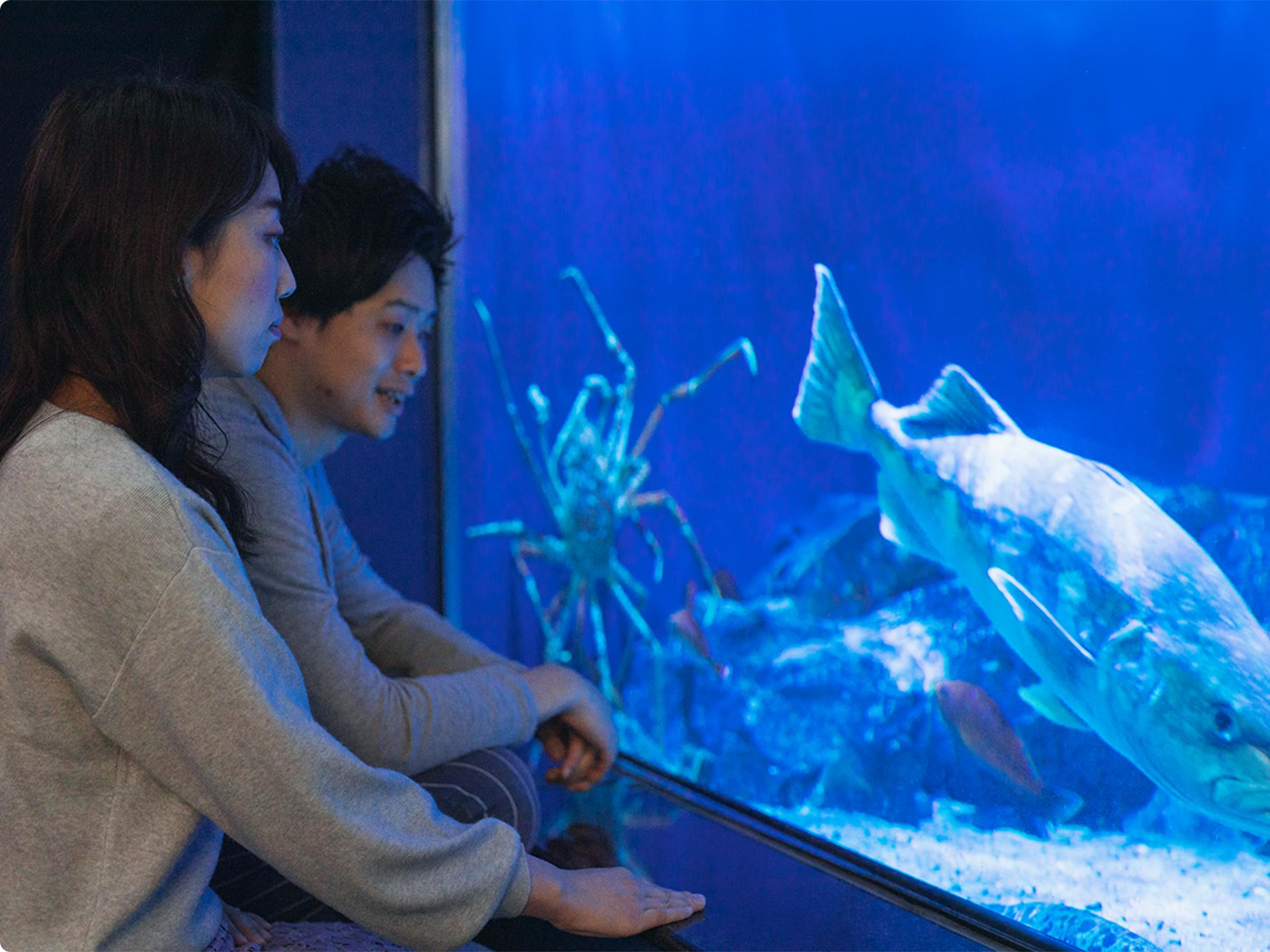 恋人と 名古屋港水族館ホームページ 公式