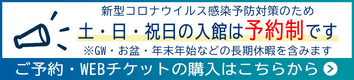 海の仲間たち 名古屋港水族館ホームページ 公式