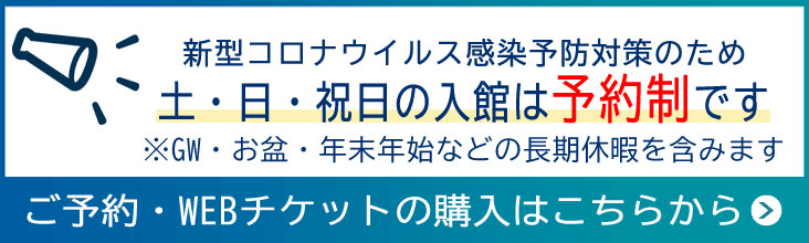 サマーナイトアクアリウム を開催します 名古屋港水族館ホームページ 公式