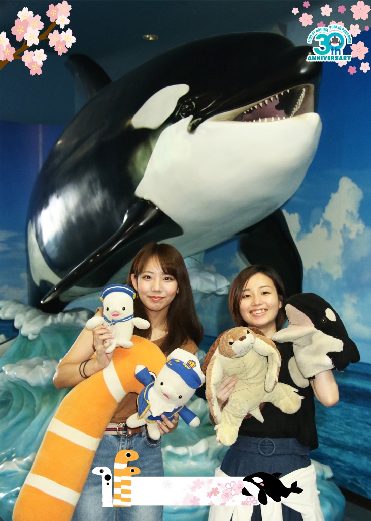 シャチスタジオ 名古屋港水族館ホームページ 公式 シャチスタジオ 名古屋港水族館ホームページ 公式