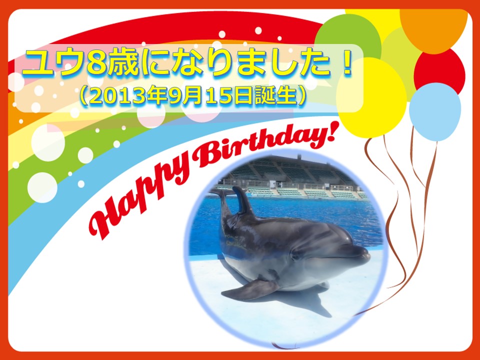 ユウ8歳 お誕生日おめでとう 名古屋港水族館ホームページ 公式