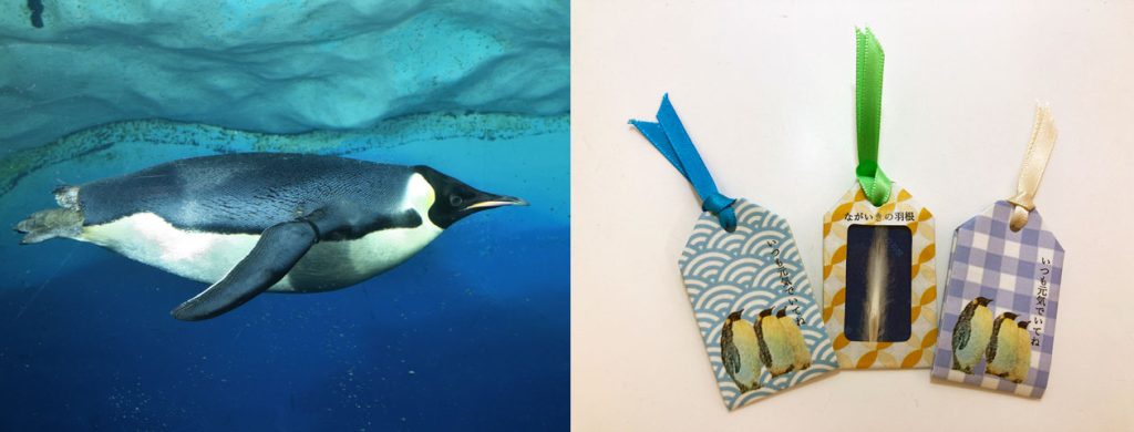 名古屋港水族館 ペンギンの羽根キーホルダー 全4種セット