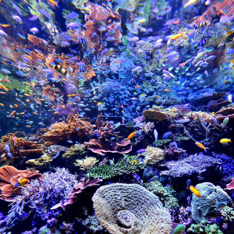 名古屋港水族館