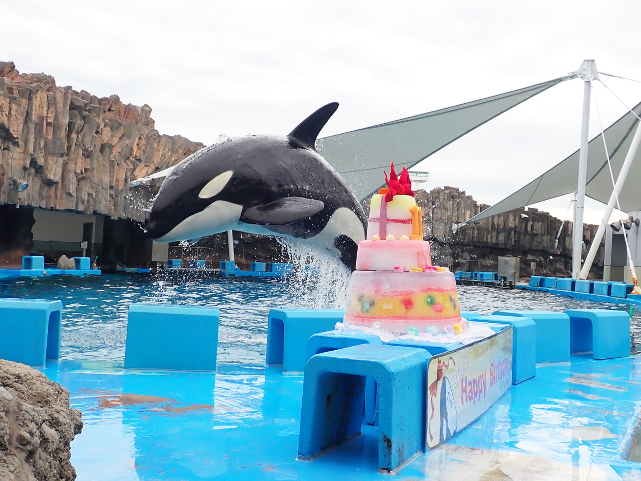 リンおめでとう♡」の気持ちで、作りました☆｜名古屋港水族館