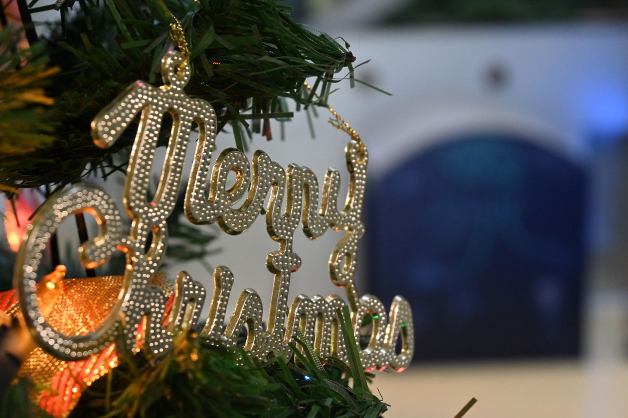 クリスマス アクアリウムイベントを開催します