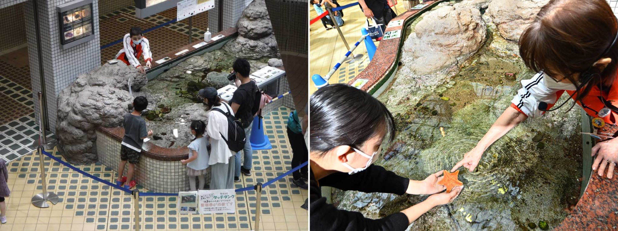 ボランティア｜研究・教育｜名古屋港水族館ホームページ