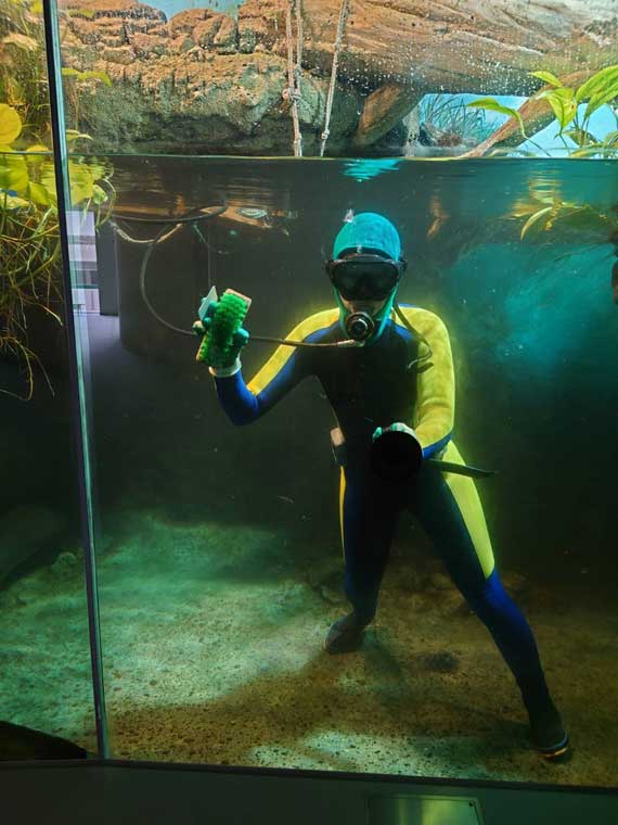 潜水しながらのガラス掃除