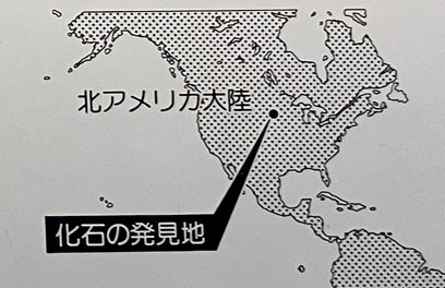 化石が発見された場所の地図