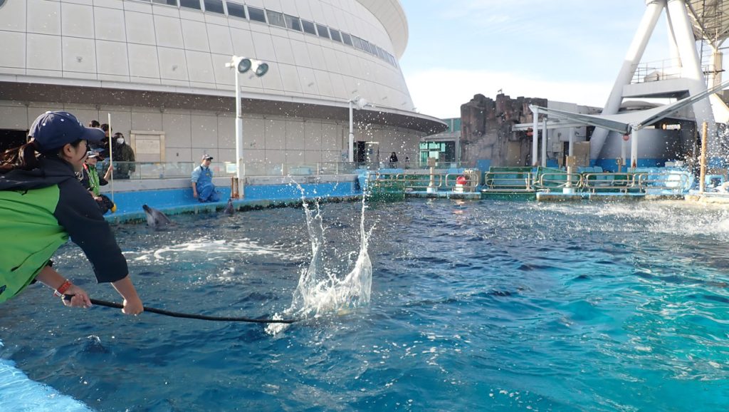 ターゲットで水面をたたいているところ