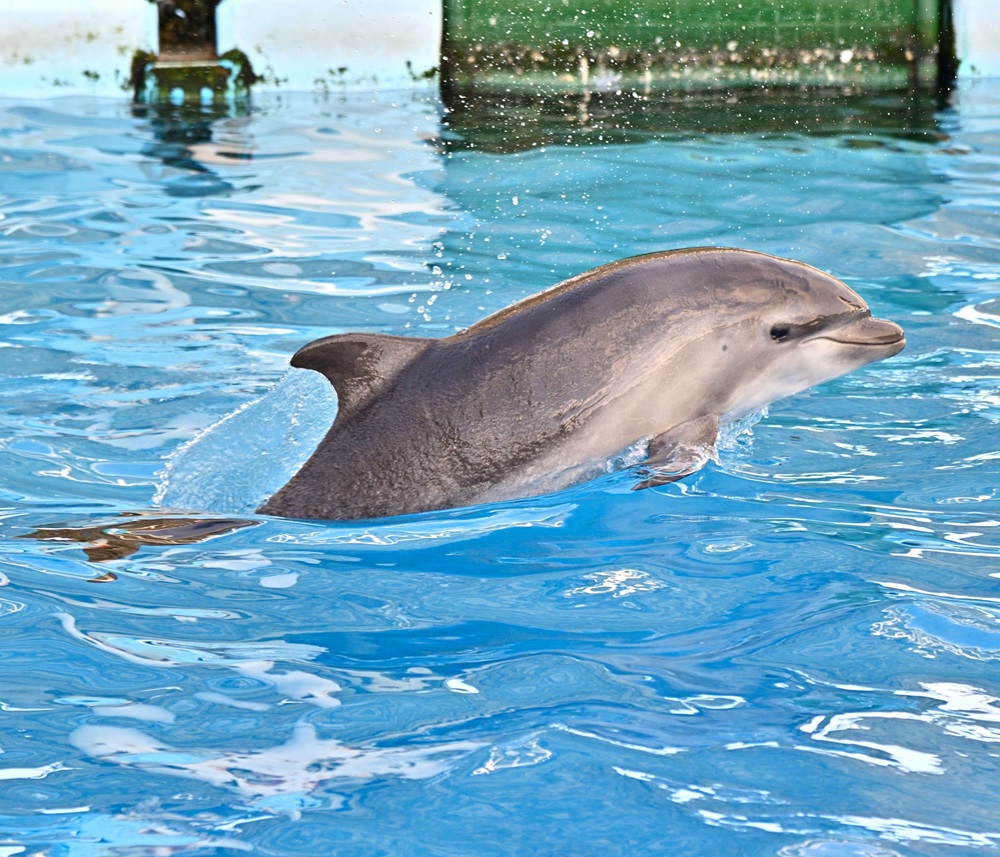 ウィニーの赤ちゃん、4カ月目突入！