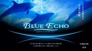 BLUE ECHOに参加できちゃう！？