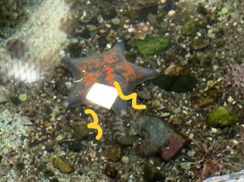 近隣トラブル!?