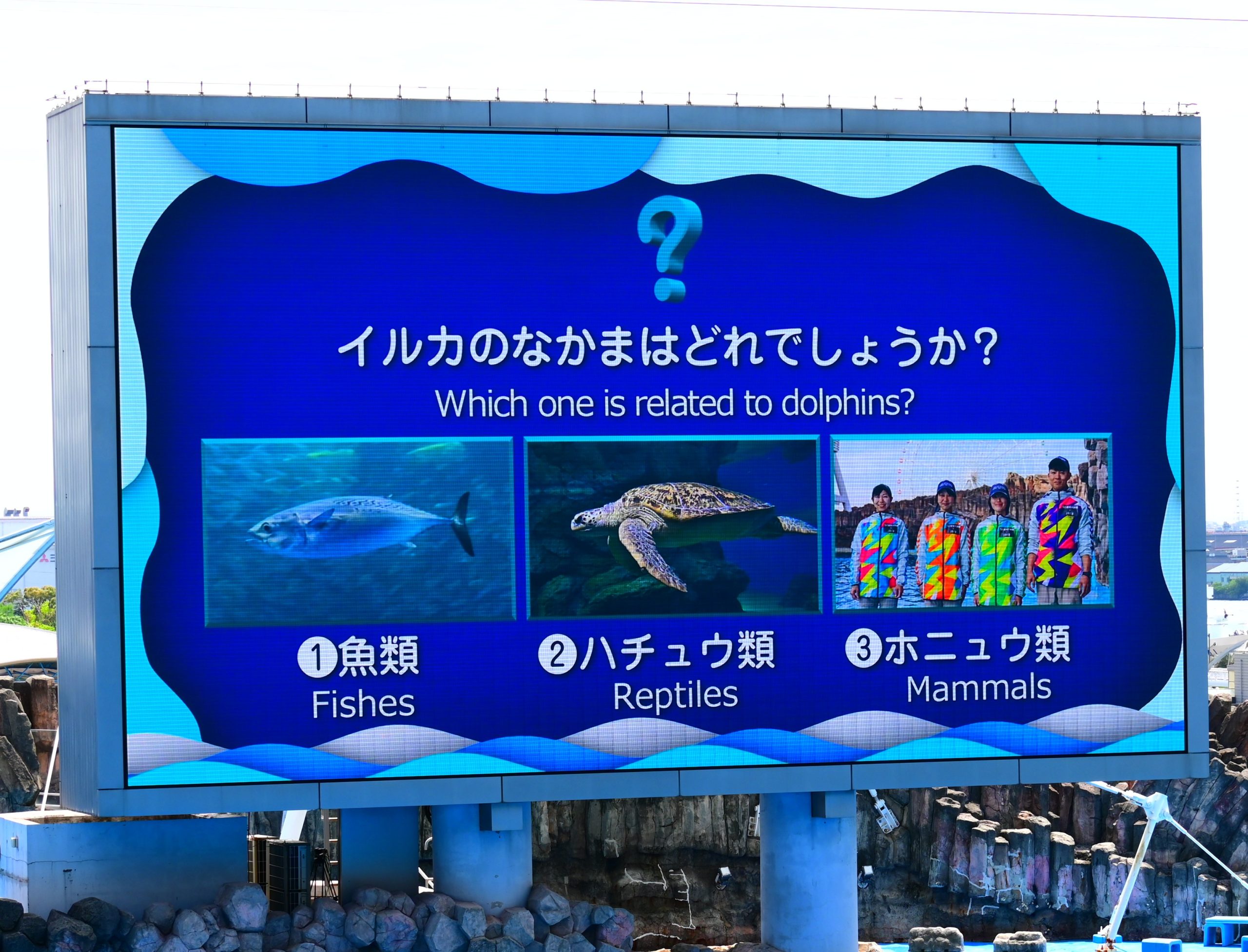 目指せ!イルカパフォーマンスのレクチャーコンプリート!