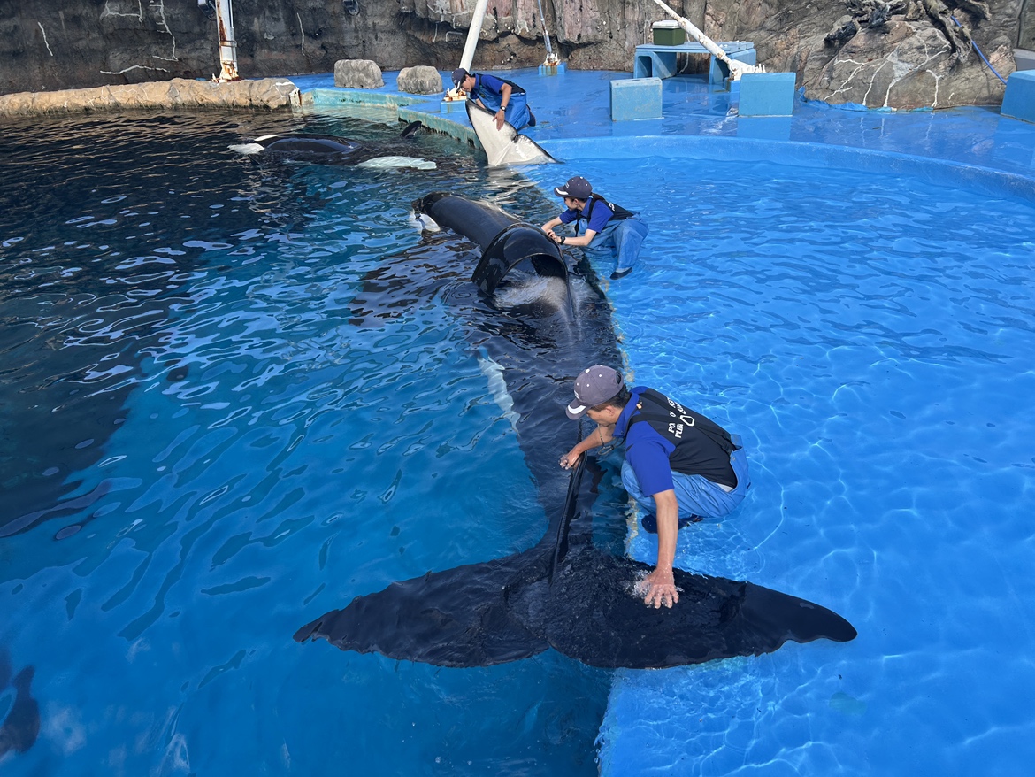 撫でタイム♪