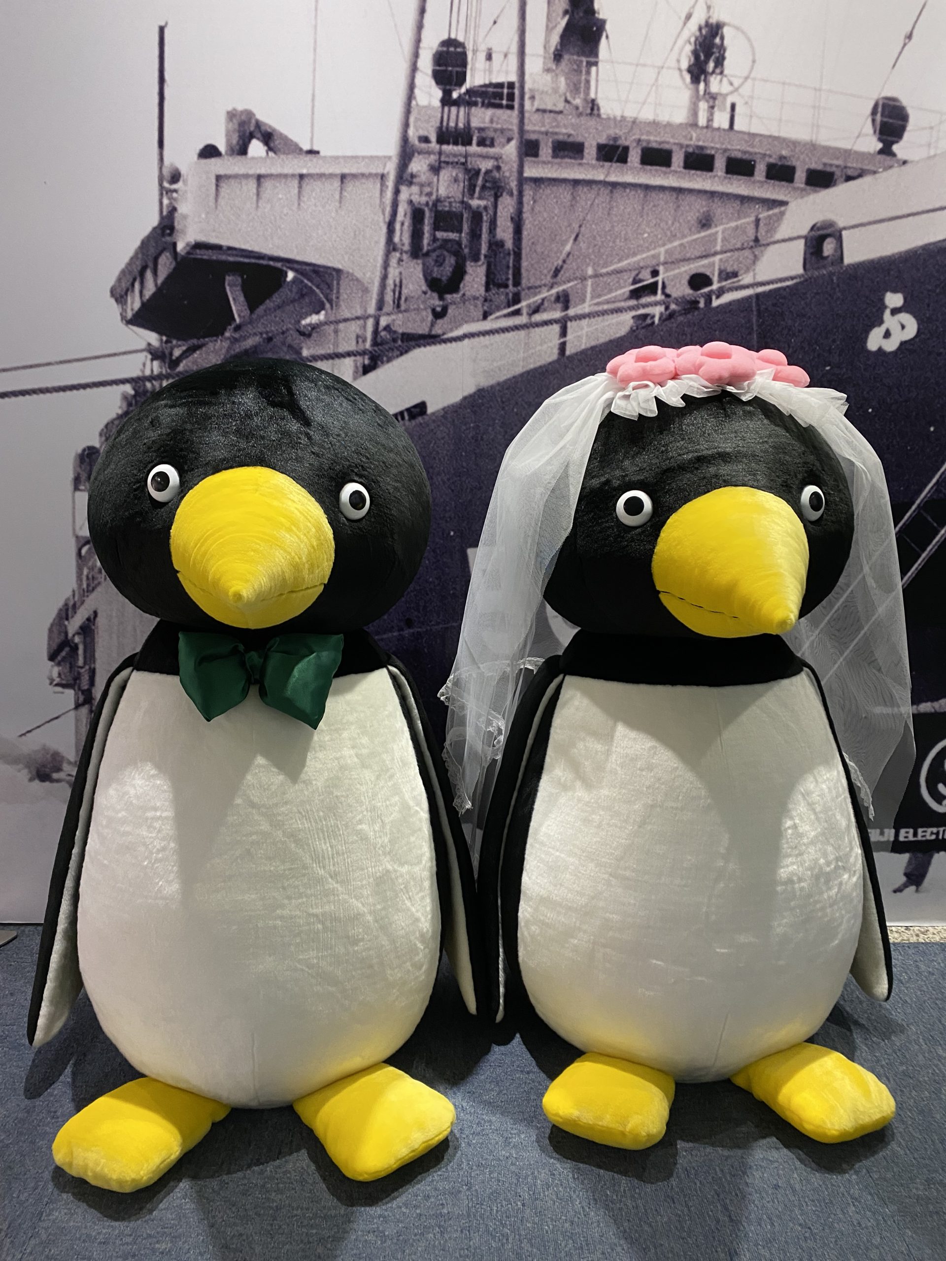 ペンギンタイムズからのお知らせ～富士昭男・和江～