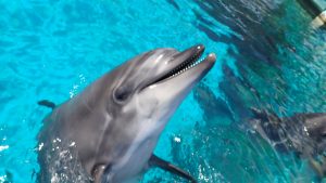 12歳おめでとう！！