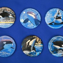 「水族館deクルッと寄付」 返礼品に「ハッピーバースデー2025」オリジナル缶バッジ第3弾が登場します