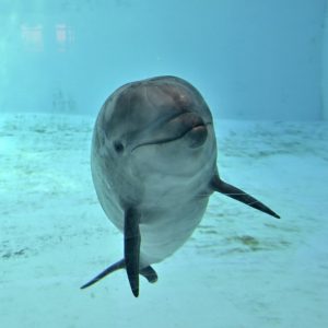 🎉ラッキー、1歳のお誕生日おめでとう🎉最近の様子は･･･？