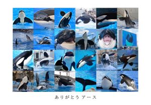 メモリアル写真展  ありがとう、アース