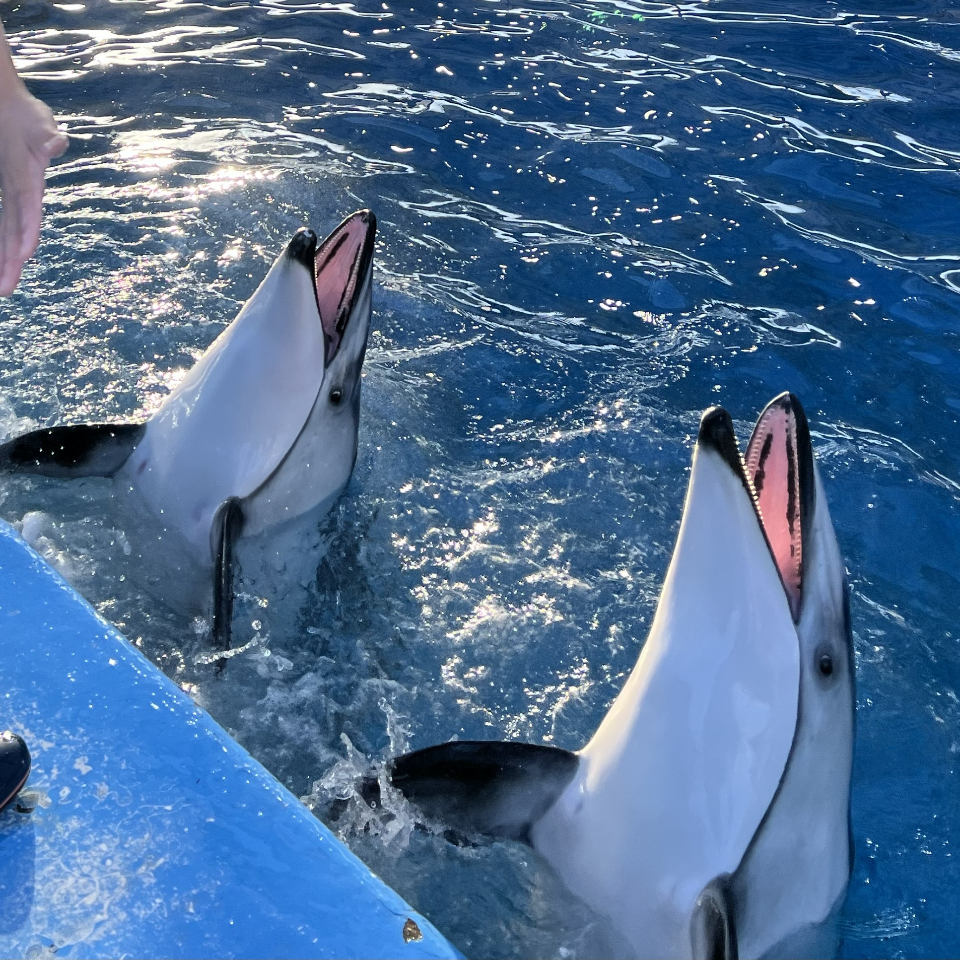 目が追い付かない！！