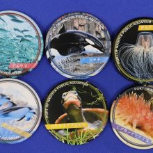 「水族館deクルッと寄付」 返礼品に「名古屋港水族館の“顔”」オリジナル缶バッジが登場！　
