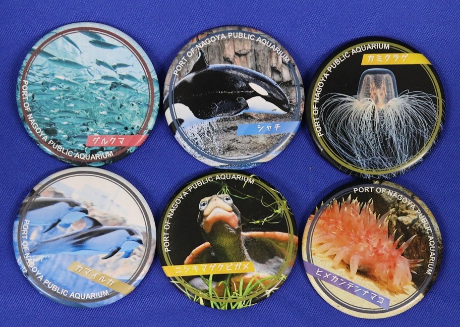 「水族館deクルッと寄付」 返礼品に「名古屋港水族館の“顔”」オリジナル缶バッジが登場！　