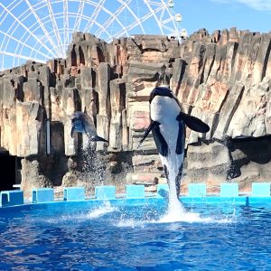 Happy 13th Birthday!!