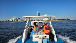 今年もやってきました