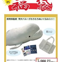 2026年度　新春福袋販売のお知らせ