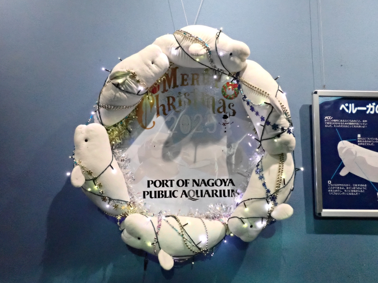 ベルーガリース2025