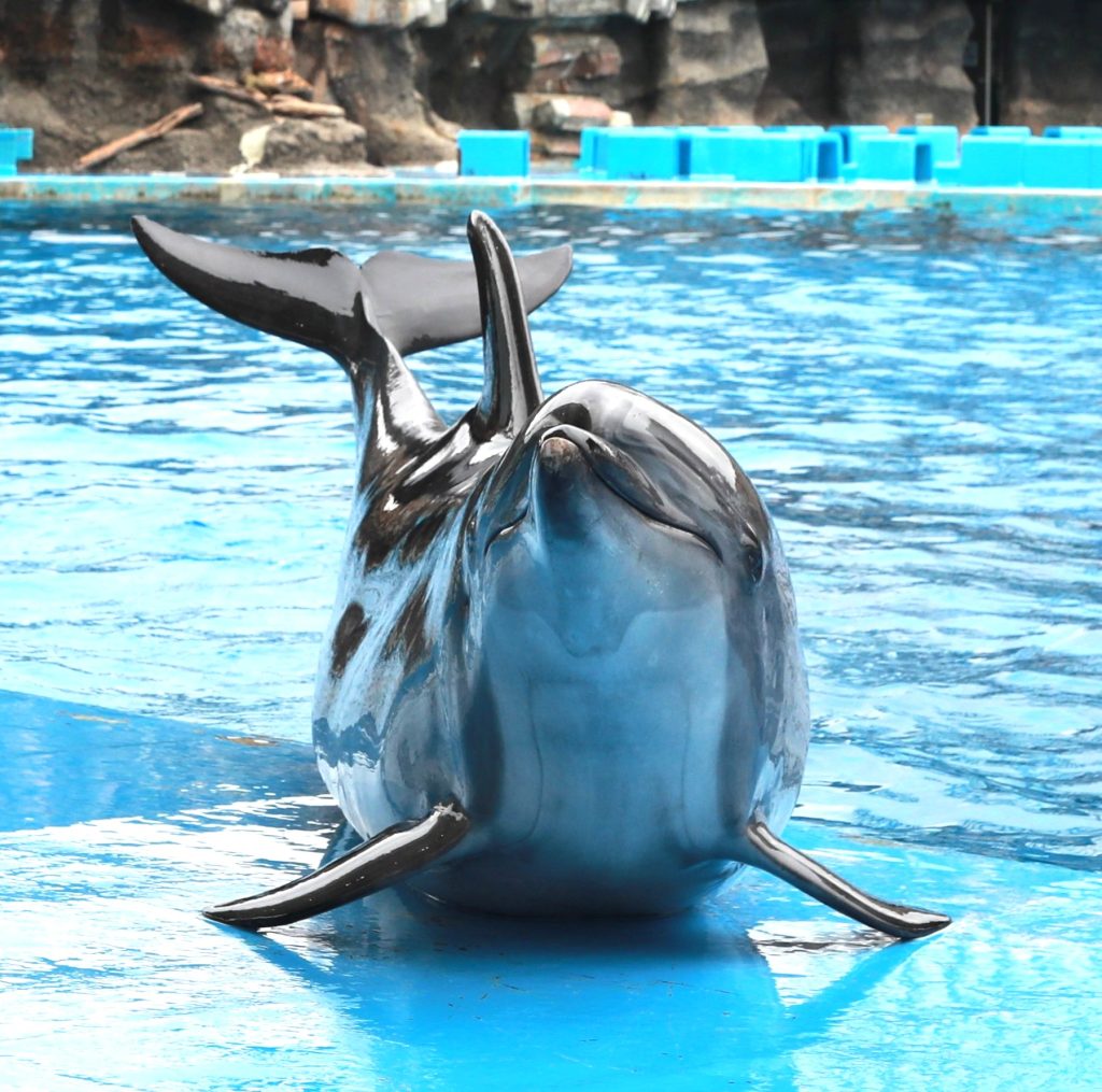 アルベルト・バーガス☆バルガス☆40s☆バーガスガール☆グラビア両面ピンナップ アルベルト・バーガス☆バルガス☆40s☆バーガスガール☆グラビア両面