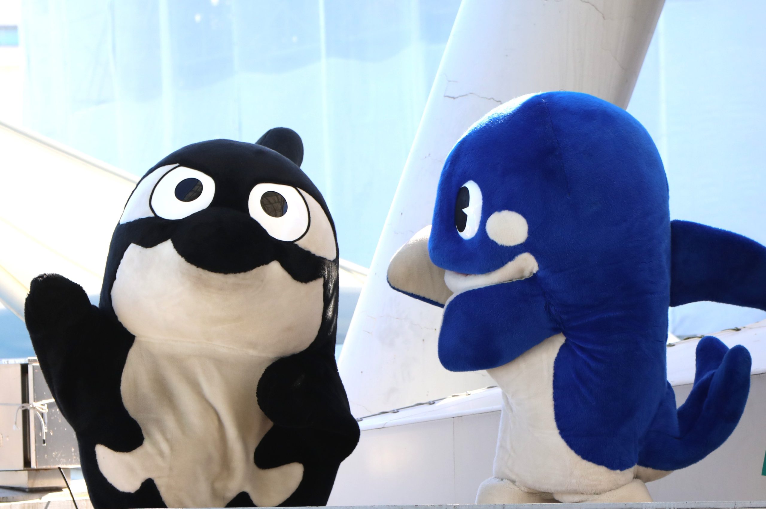 「明治安田Ｊ１百年構想リーグ」 特別ユニフォームデザイン発表コラボレーションイベントのお知らせ