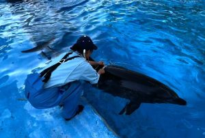 ユウとトレーニング