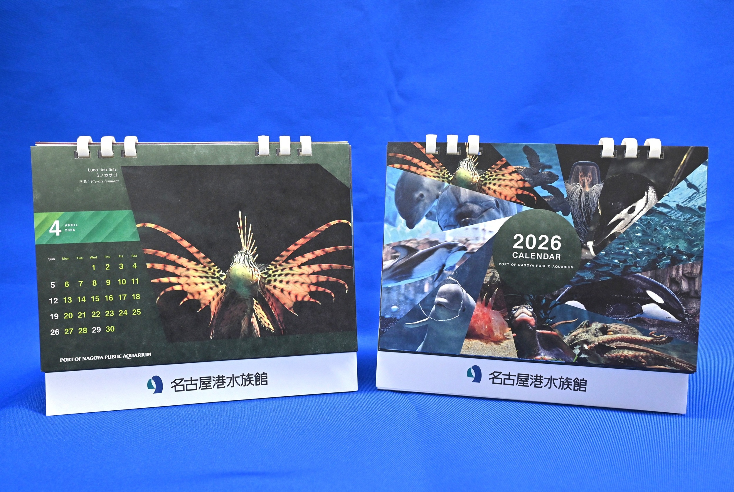 名古屋港水族館公式ＳＮＳをフォローしていただいた方に「2026年名古屋港水族館オリジナル卓上カレンダー」をプレゼントします