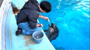 クリスマスに嬉しい報告！