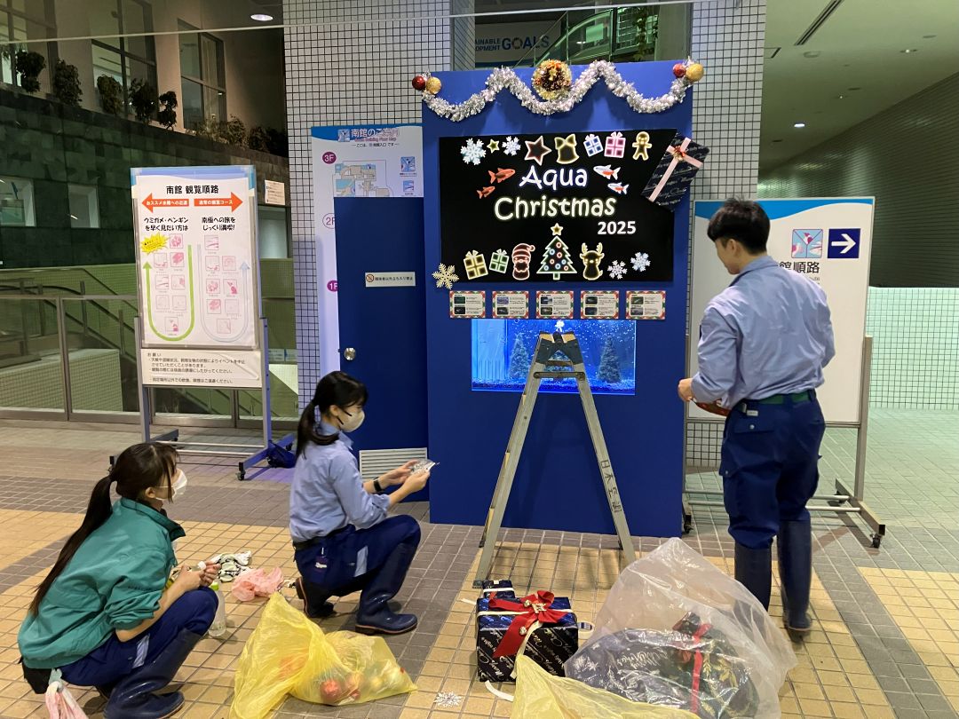 水槽の中の　❄メリークリスマス❄