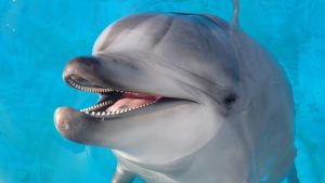 のびのび頑張っています！