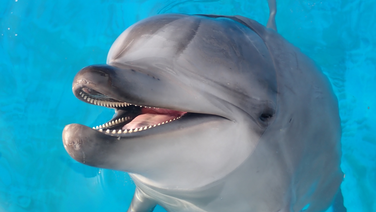 のびのび頑張っています！