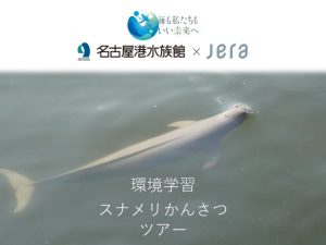 環境学習スナメリかんさつツアーの参加者を募集します