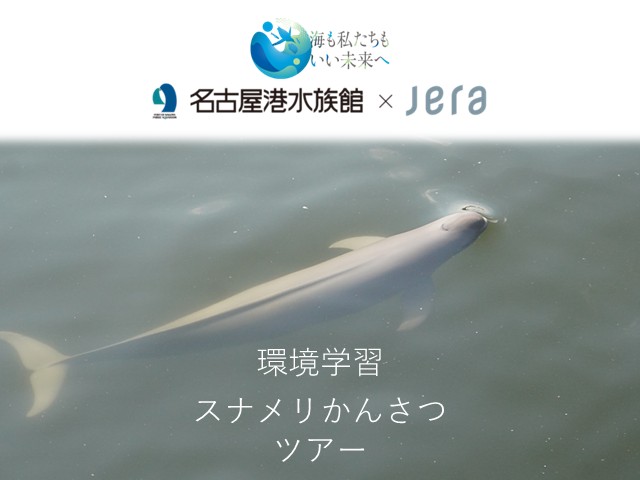 環境学習スナメリかんさつツアーの参加者を募集します