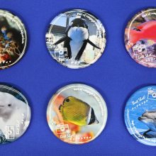 【水族館deクルッと寄付】返礼品に「スタッフが選んだベストショット！！第1弾」 名古屋港水族館オリジナル缶バッジが登場します