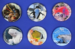 【水族館deクルッと寄付】返礼品に「スタッフが選んだベストショット！！第1弾」 名古屋港水族館オリジナル缶バッジが登場します