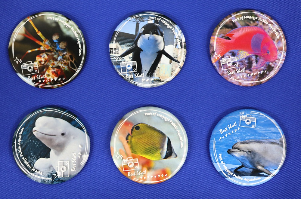 【水族館deクルッと寄付】返礼品に「スタッフが選んだベストショット！！第1弾」 名古屋港水族館オリジナル缶バッジが登場します