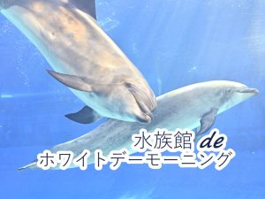 「水族館deホワイトデーモーニング」を開催します