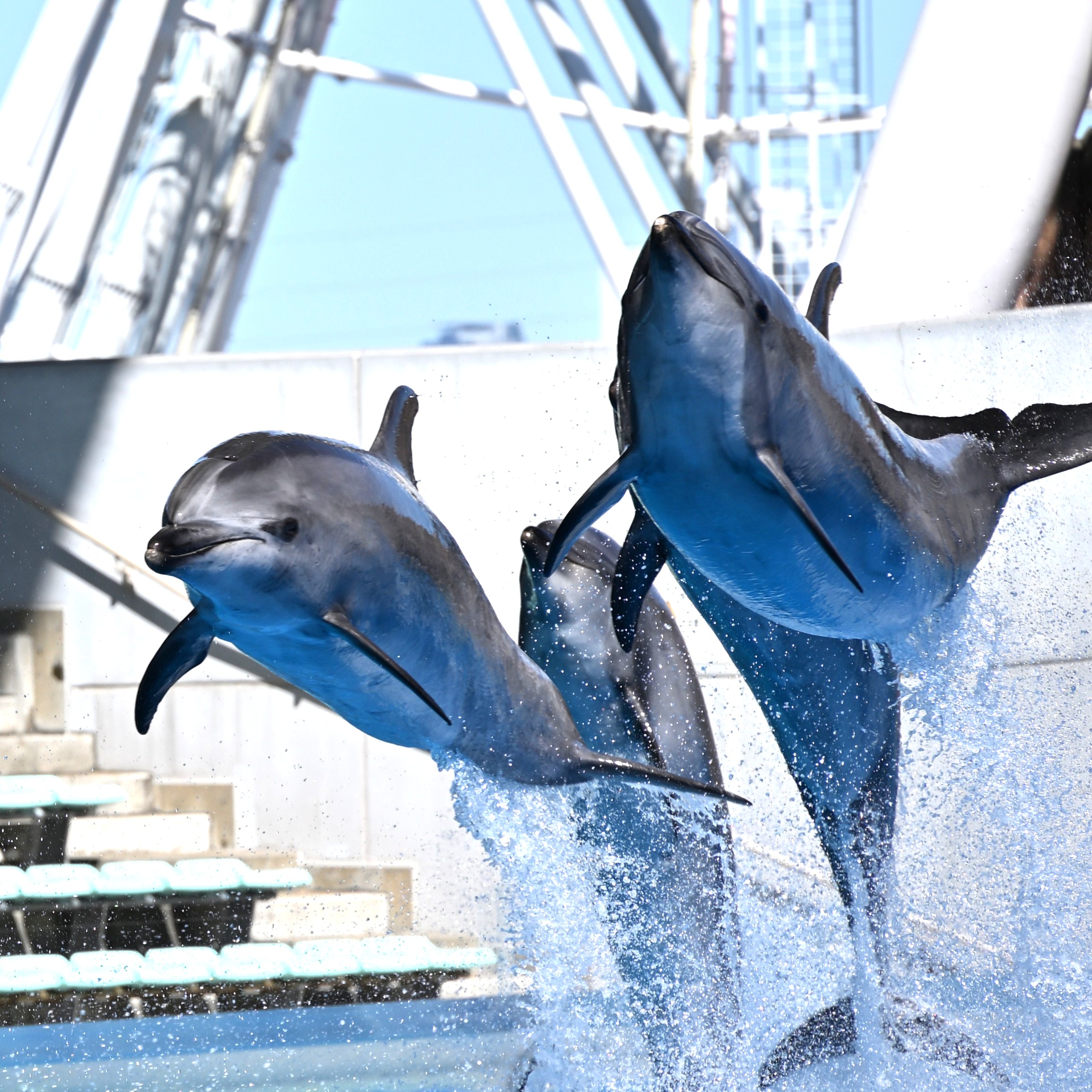 ジャンプに個性が！？