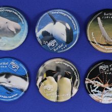 【水族館deクルッと寄付】返礼品に「スタッフが選んだベストショット！！第2弾」 名古屋港水族館オリジナル缶バッジが登場します